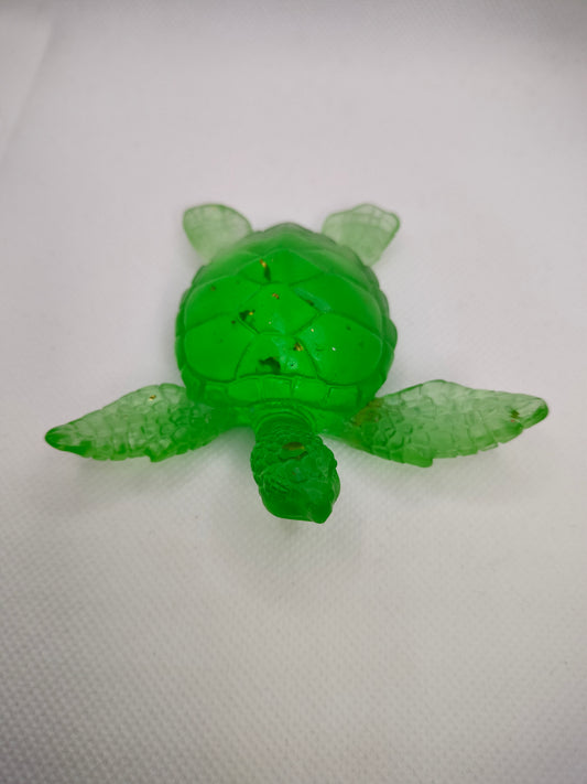 Tortue