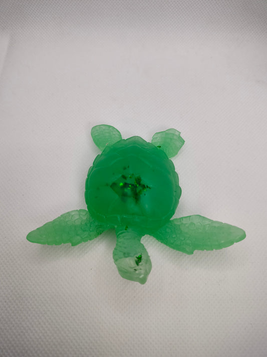 Tortue