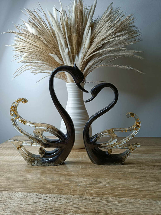 Couple de cygnes