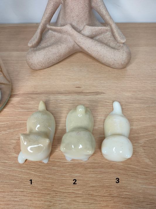 Petit chat modèle 3