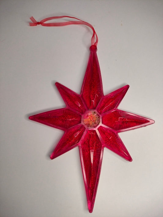 Etoile de noël